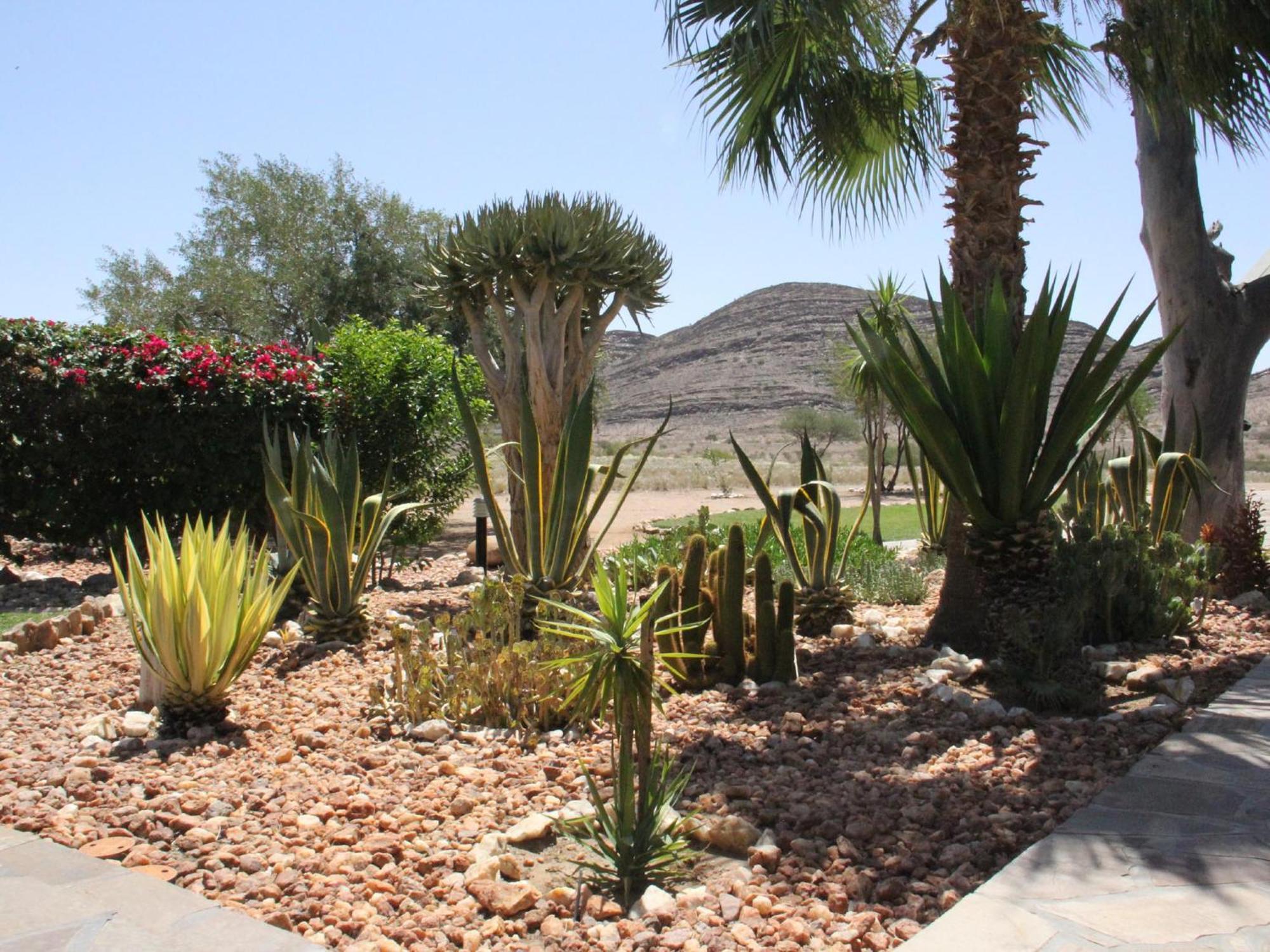 Rooisand Desert Ranch Chausib Habitación foto